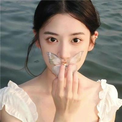 情深无尽